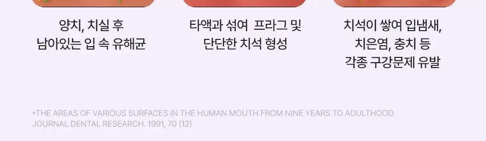[엔하이픈 콜라보 사인회 응모권] 리스테린 불소가글 캐비티케어/토탈케어플러스 750ml+100ml*2+랜덤 키링증정 상세페이지 34